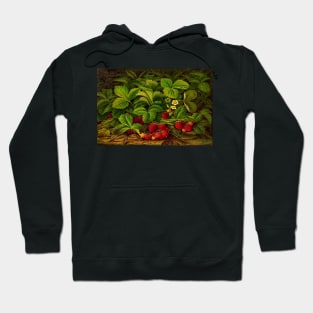 Strawberries On The Vine Hoodie